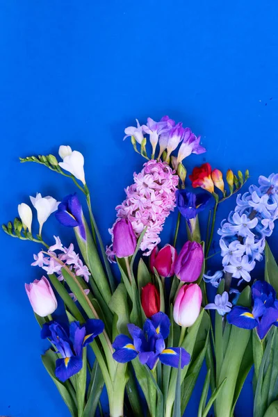 Fiori di tulipani rosa e viola — Foto Stock