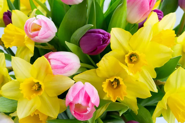 Tulipani e narcisi fiori — Foto Stock