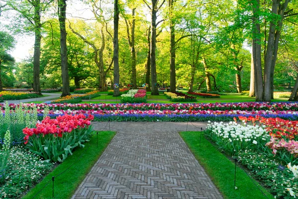 Jardim de primavera formal — Fotografia de Stock