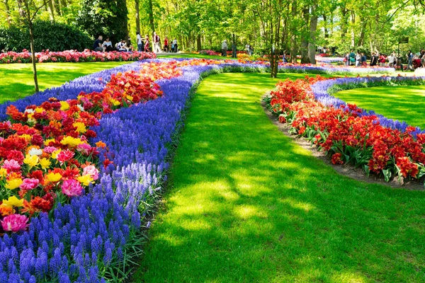 Fresh lawn with flowers — Stock Photo, Image