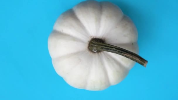 Calabaza en la mesa — Vídeos de Stock