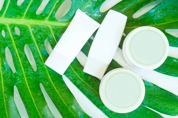 Verde exuberante con productos cosméticos —  Fotos de Stock