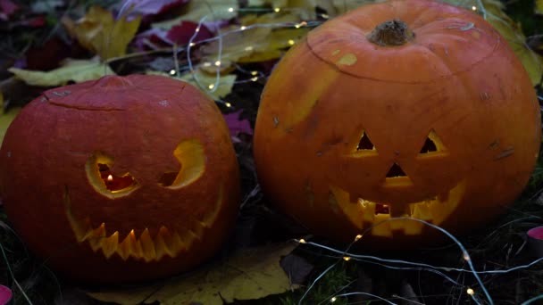 Decoración jardín de halloween — Vídeos de Stock