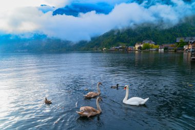 Büyüleyici bir Lakeside Köyünün Görkemli Dağlar ve Doğa Arasında Görünümü