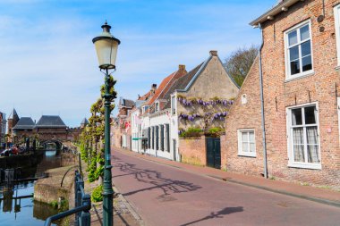 Hollanda, Amersfoort 'taki eski tarihi evler ve ağaçların cepheleri