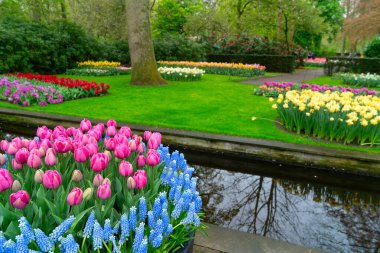 Lale bahçesinde berrak suyla dolu renkli bir kaynak, bereketli bir ortamda canlı çiçekler sergiliyor, ziyaretçileri keşfetmeye davet ediyor.