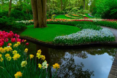 Lale bahçesindeki renkli bir gölet, yemyeşil bir ortamda canlı çiçekler sergiliyor.,