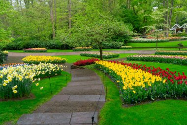 Lale bahçesinde renkli bir patika, gür bir ortamda canlı çiçekler sergiliyor, ziyaretçileri keşfetmeye davet ediyor.