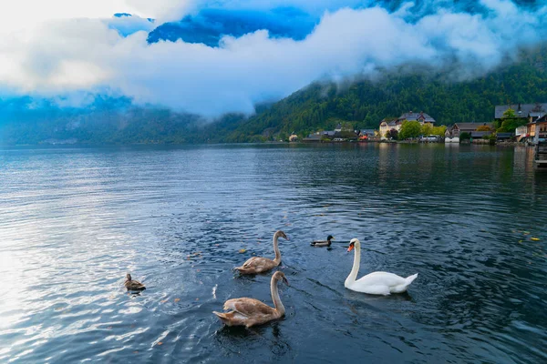 Büyüleyici bir Lakeside Köyünün Görkemli Dağlar ve Doğa Arasında Görünümü