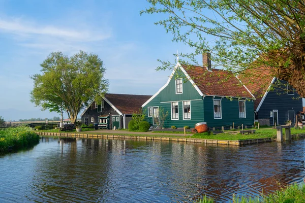 Hollanda 'nın Zaanse Schans kasabasındaki küçük ev manzarası