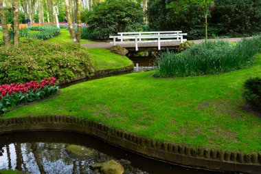 Köprü, renkli çiçekler ve dingin su yansımaları olan güzel bir bahçe sahnesi, doğa severler için mükemmel..