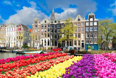 Hollanda, Amsterdam 'da kanal suyu üzerinde eski tarihi evler ve ağaçların cepheleri