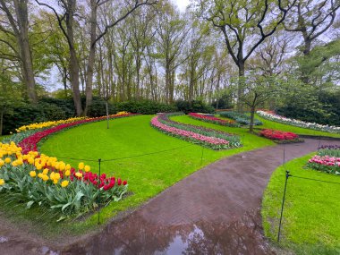 İlkbahar resmi bahçesinde çiçek açan lalelerle dolambaçlı bir yol