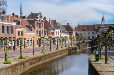 Hollanda, Amersfoort 'taki eski tarihi evler ve ağaçların cepheleri