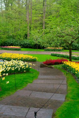 Lale bahçesinde renkli bir patika, gür bir ortamda canlı çiçekler sergiliyor, ziyaretçileri keşfetmeye davet ediyor.
