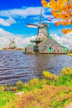 Geleneksel Hollanda yel değirmeni Zaanse Schans, Hollanda sonbahar günü
