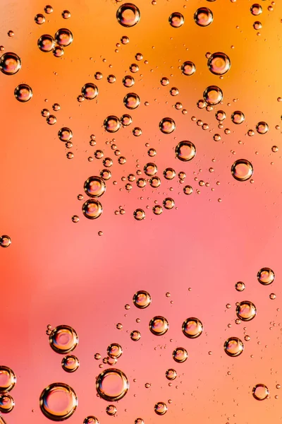 Arkadan aydınlatmalı sıvı renkli arka plan üzerinde o küçük kabarcıklar ile makro çekim.