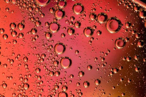 Macro shot of backlit liquid with small bubbles in it over colored background.