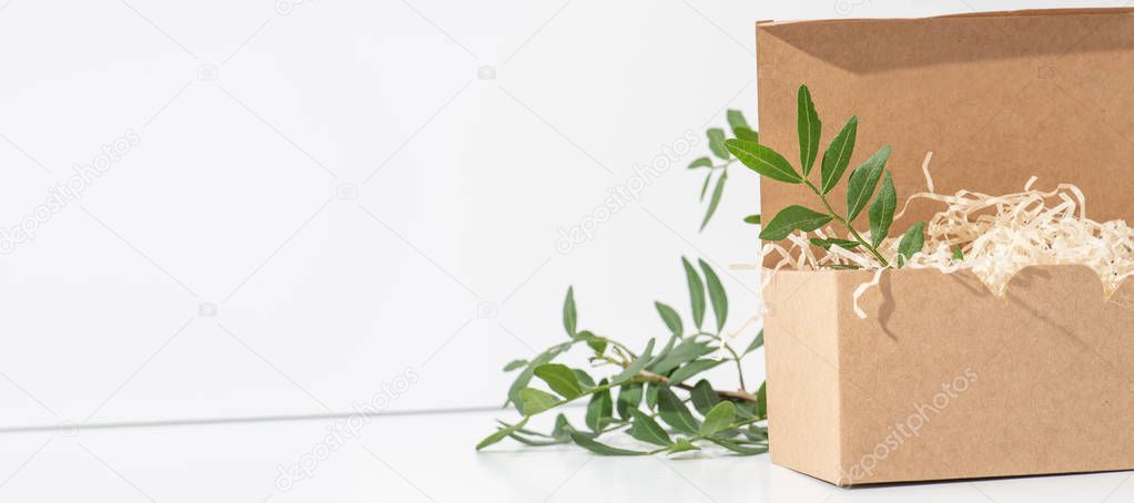 Disposable, recyclable paper box in the right side over white background