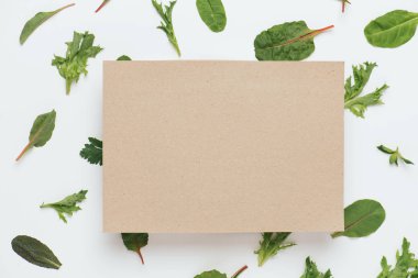 Salata yapraklarından yapılmış sebze soyut arka plan üzerinde Karton levha
