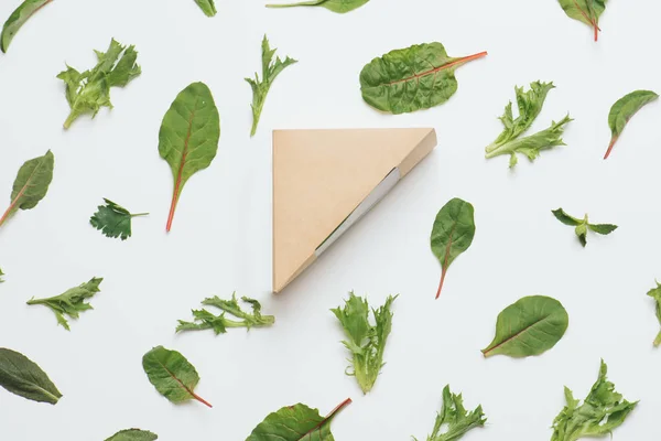 Sebze soyut arka plan üzerinde Sandviç kutusu, salata yapraklarından yapılmış — Stok fotoğraf