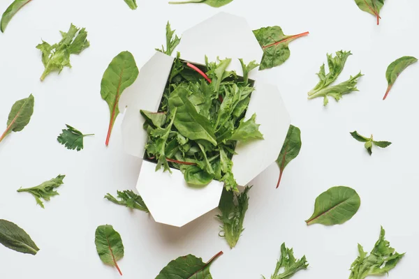 Caja de cuatro solapas llena de hojas verdes sobre fondo abstracto, hecha de hojas de ensalada — Foto de Stock