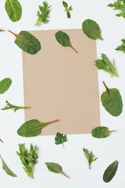 Salata yapraklarından yapılmış bitkisel soyut arka plan, bir parçası olarak Karton levha — Stok fotoğraf