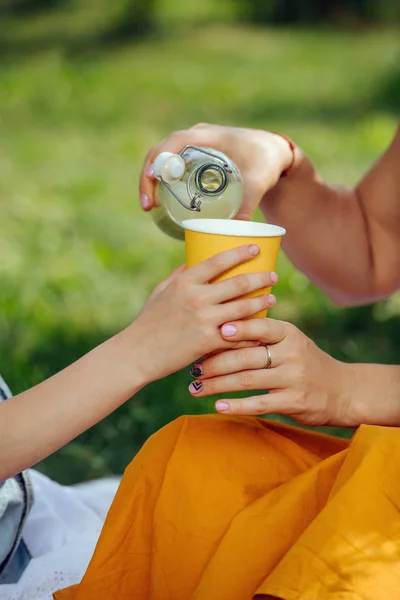 Family picnic on grass in the gardens under gentle shade of trees — Stock Photo, Image