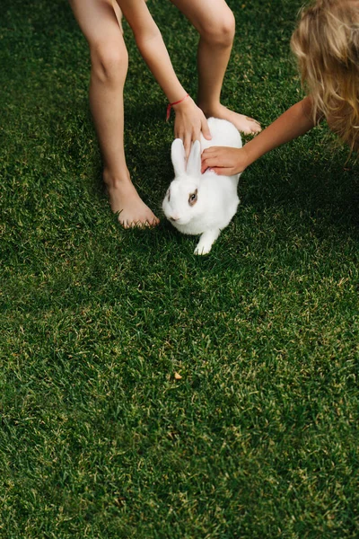 Bambini che accarezzano un coniglio peloso bianco su un prato verde . — Foto Stock