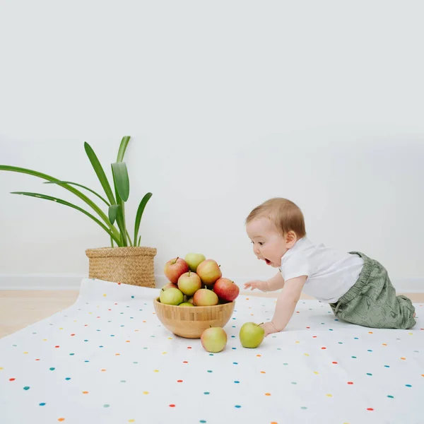 Küçük bir bebek elmalara tırmanıyor — Stok fotoğraf