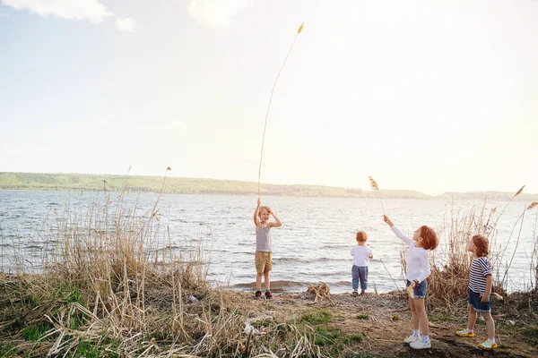 Yaşından Küçük Bir Grup Çocuk Göl Kenarında Tahıl Çivileriyle Oynuyorlar — Stok fotoğraf