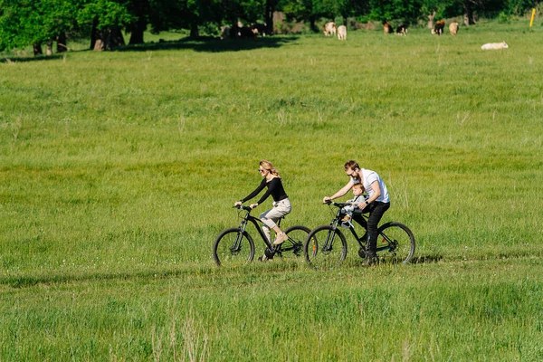 父母和他们的婴儿在乡间的树上和田边的车辙上骑着车 从远处 侧视图 奶牛躺在草地上 — 图库照片