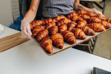 Fırıncı soğutmak için metal tepside taze pişmiş altın kruvasan taşıyor. Yanlardan tutarak..