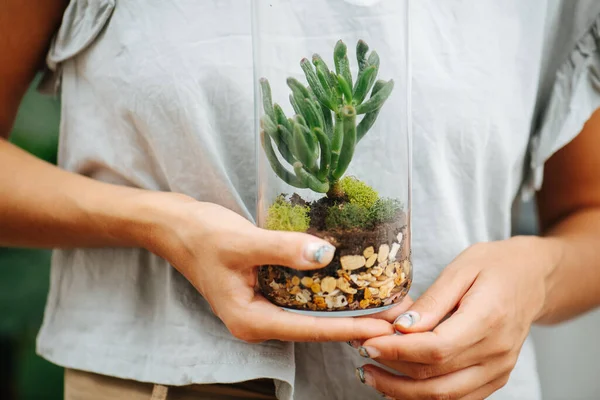 Vrouw Met Verzegelde Glazen Fles Met Leuke Kleine Plant Voorkant — Stockfoto