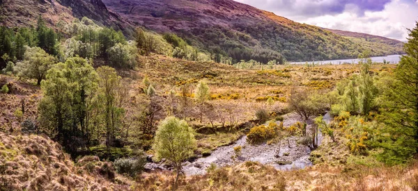 Schöne Landschaft Frühling Kenmare County Kerry Irland — Stockfoto