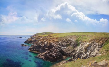 Saltee ada manzara. Yakın çekim. İrlanda.