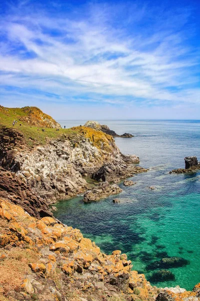 Saltee Ada Manzara Yakın Çekim Rlanda — Stok fotoğraf