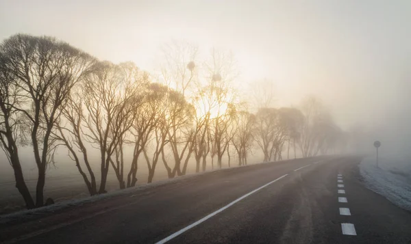 Утренние Деревья Тумане Дороги Дорожным Знаком Восход Солнца — стоковое фото