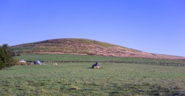 Tarım alanları ve bir bahar günü güneşli bir sabah bir county Cork'deki/daki bir tepe. İrlanda.