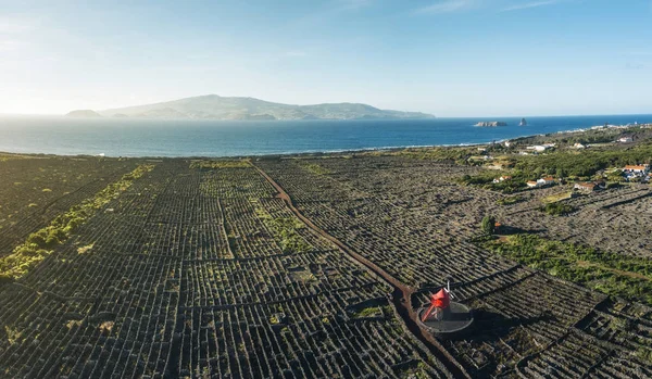 Azores'teki üzüm bağları