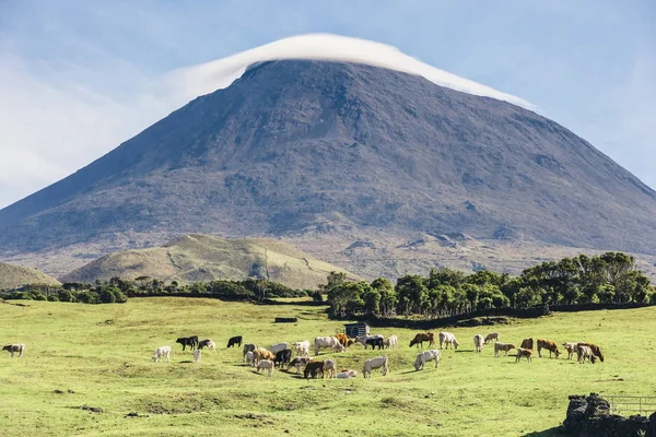 Azores Pico Volkan