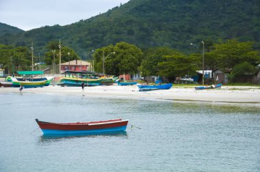 Porto Belo Sc Brezilya güzel tropikal plaj