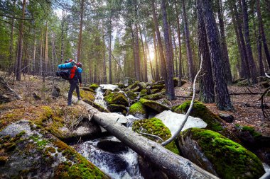 Karkaraly Milli Parkı Merkezi Kazakistan'ın güzel ormanda yürüyüş büyük sırt çantası ile uzun yürüyüşe çıkan kimse