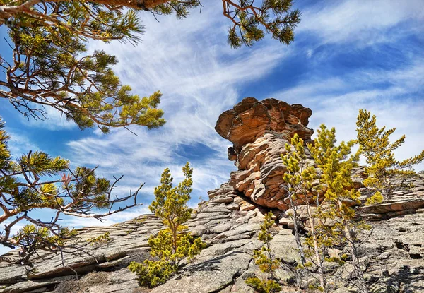 Güzel rocky Dağları Milli Parkı merkezi Kazakistan'ın orman çevrili Karkaraly 