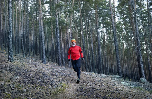 Uomo Barbuto Camicia Rossa Che Corre Nella Pineta Trail Running — Foto Stock