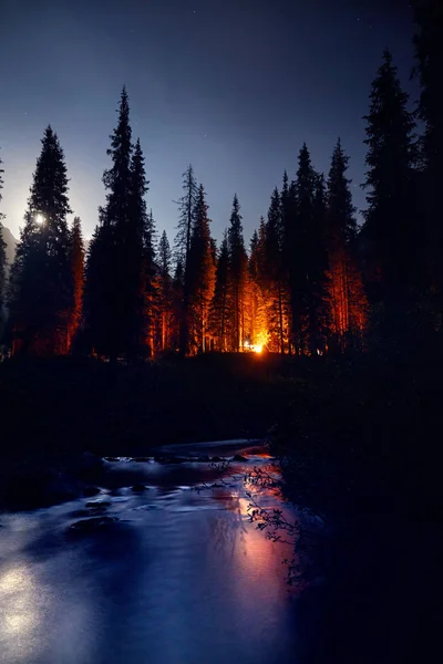 Tábortűz Erdő Közelében Folyó Éjszaka Háttere — Stock Fotó