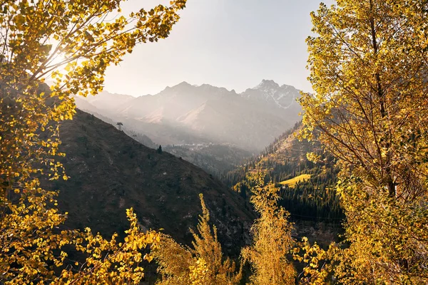 Almaty Kazakistan Sarı Sonbahar Ağaçlar Çevrili Gündoğumu Karlı Dağlar — Stok fotoğraf