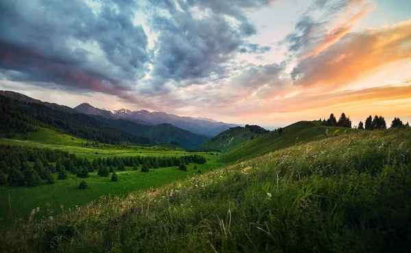 Piękny Krajobraz Lasu Zielone Doliny Góry Epickiej Pomarańczowy Zachód Słońca — Zdjęcie stockowe