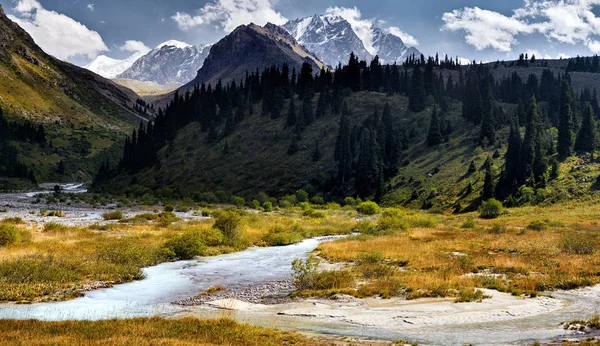 Panorama Van Het Prachtige Landschap Van Besneeuwde Bergen Groene Vallei — Stockfoto