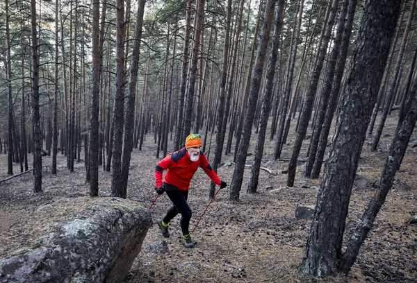 Uomo Barbuto Camicia Rossa Escursioni Nella Pineta Trail Running Concept — Foto Stock